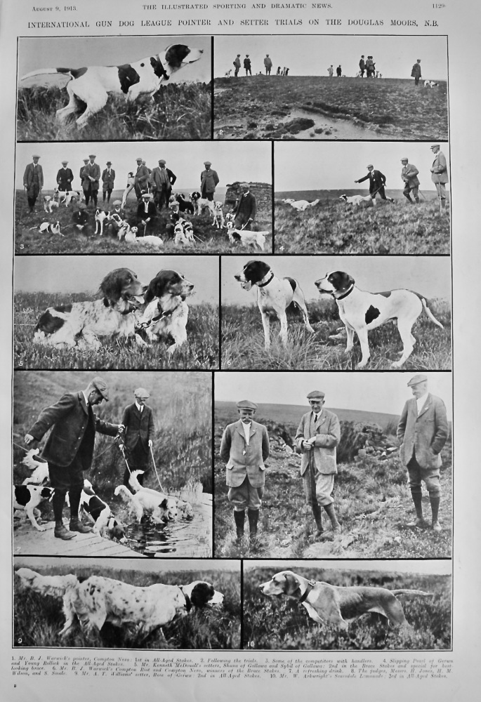International Gun Dog League Pointer and Setter Trials on the Douglas Moors. N.B.  1913.