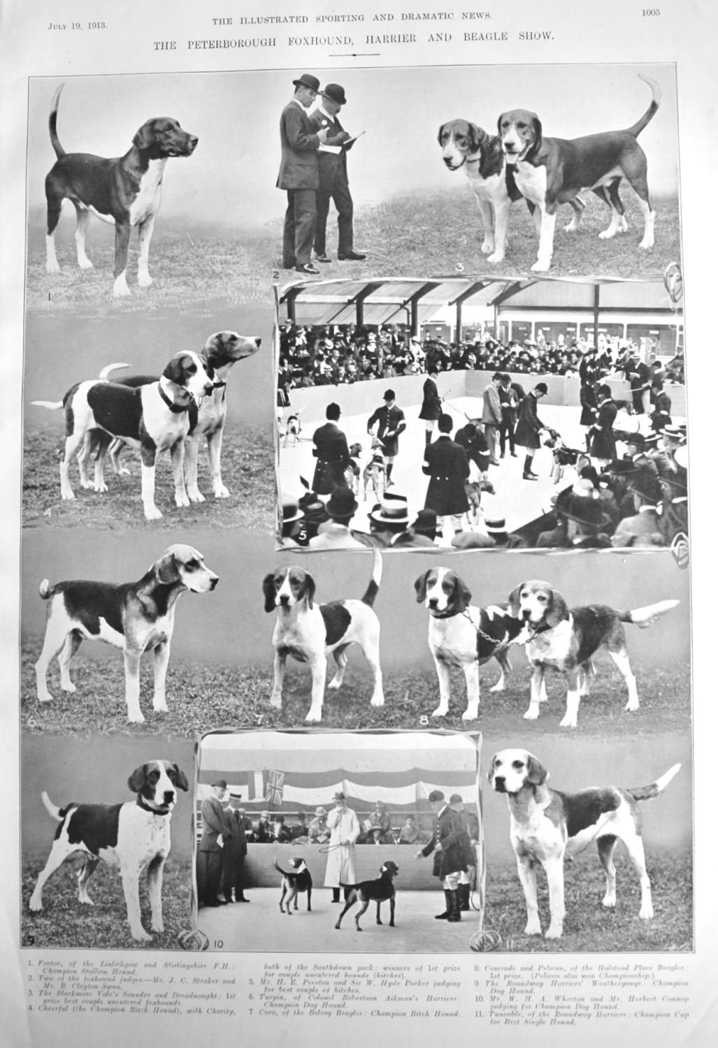 The Peterborough Foxhound, Harriers and Beagle Show.  1913.