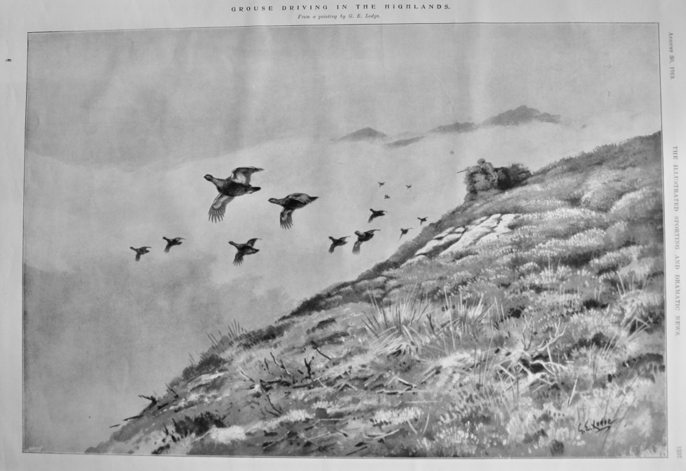 Grouse Driving in the Highlands.  1913.
