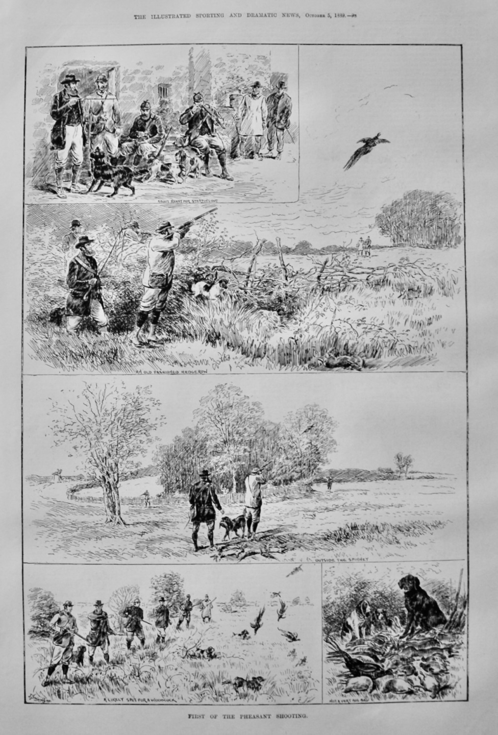 First of the Pheasant Shooting.  1889.