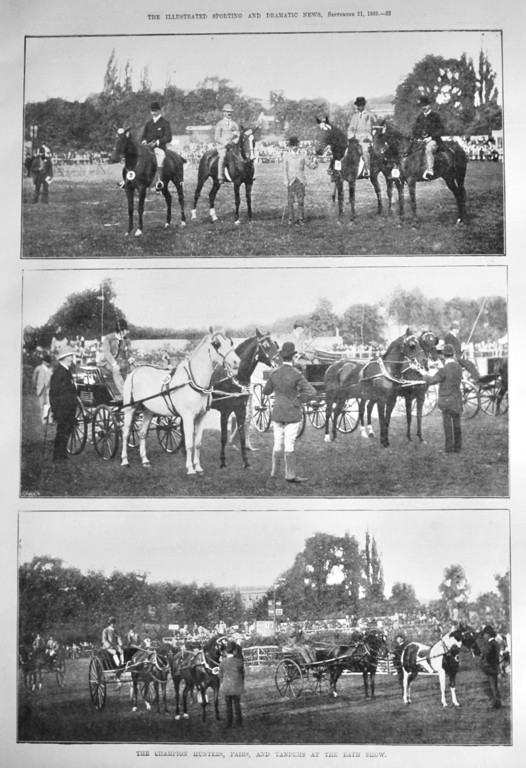 The Champion Hunters, Pairs, and Tandems at the Bath Show.  1889.