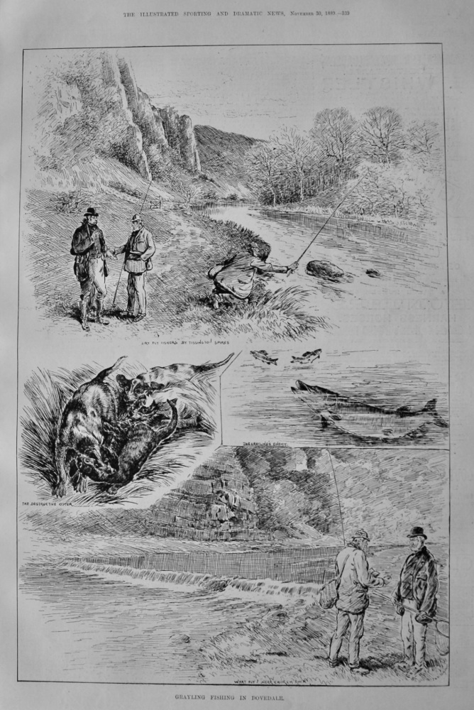 Grayling Fishing in Dovedale.  1889.