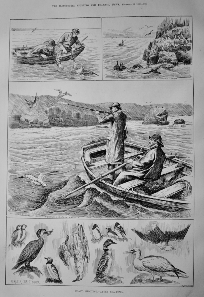 Coast Shooting.- After Sea-Fowl.  1889.