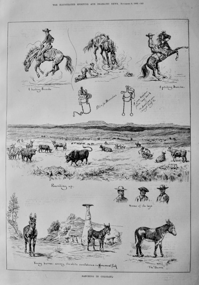 Ranching in Colorado.  1889.