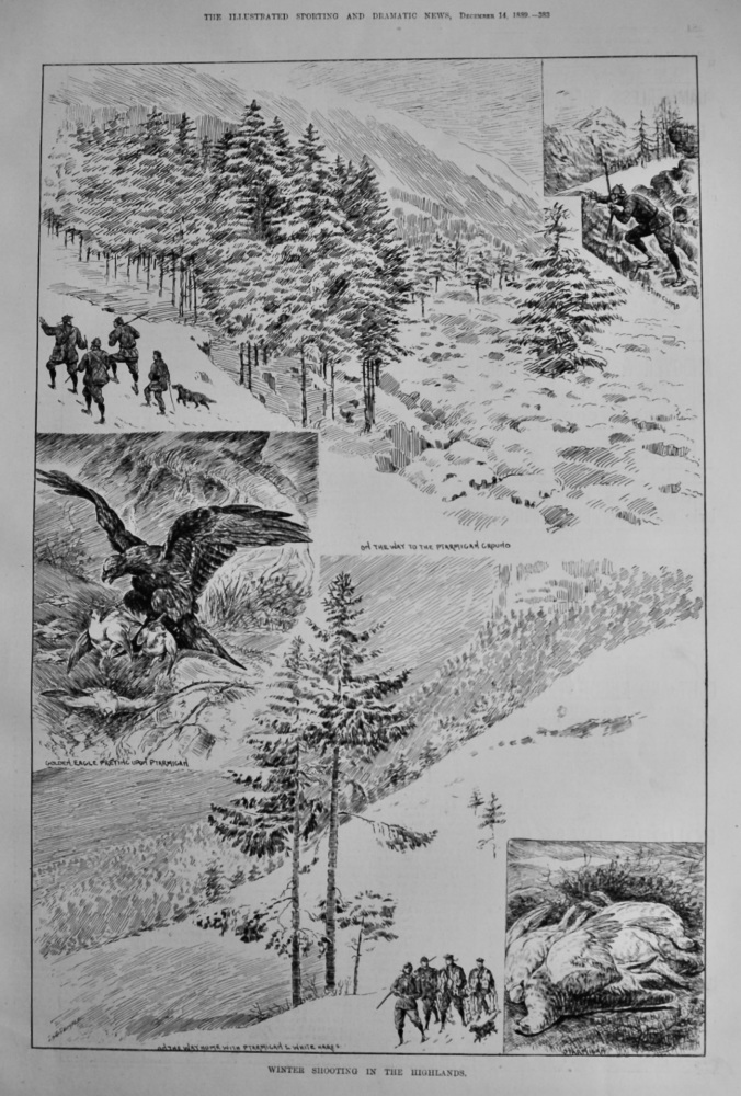 Winter Shooting in the Highlands.  1889.