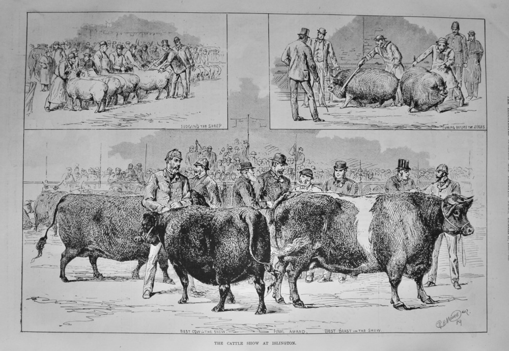 The Cattle Show at Islington.  1889.