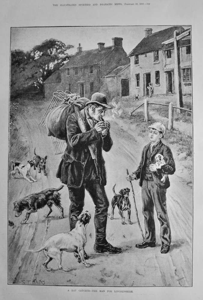 A Rat Catcher- The Man for Lincolnshire.  1890.