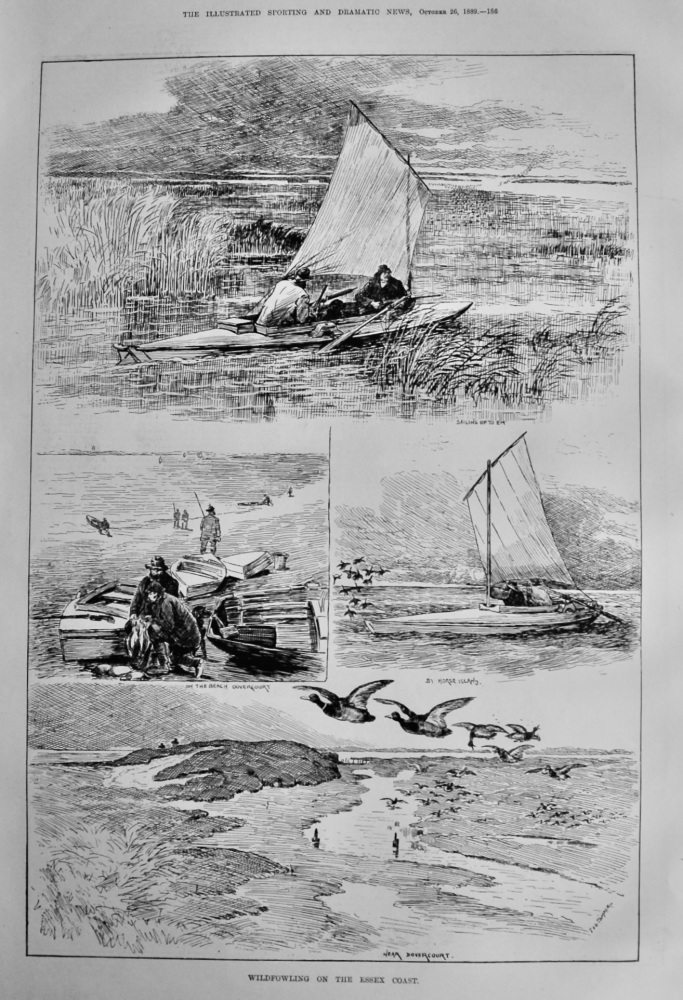 Wildfowling on the Essex Coast.  1889.