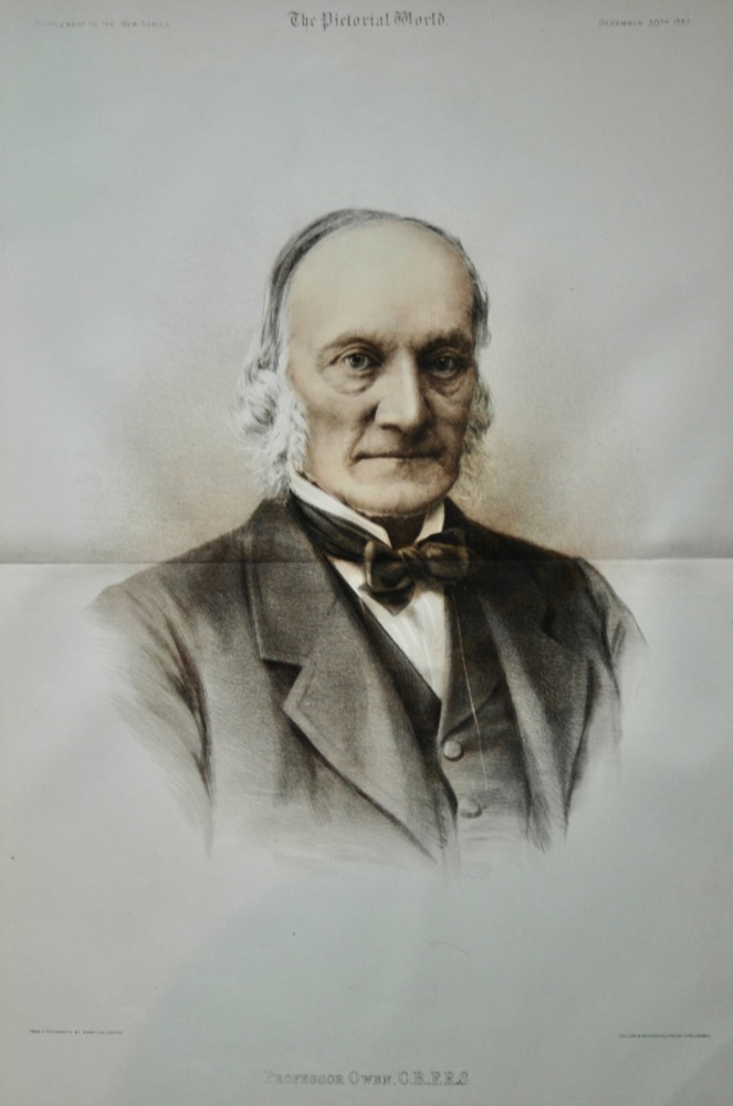 Professor Owen, C.B.,F.R.S.  1882.