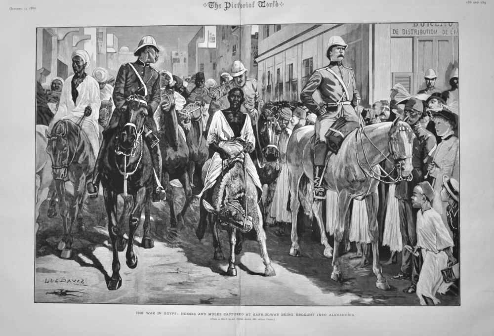 The War in Egypt :  Horses and Mules Captured at Kafr-Dowar being Brought into Alexandria.  1882.