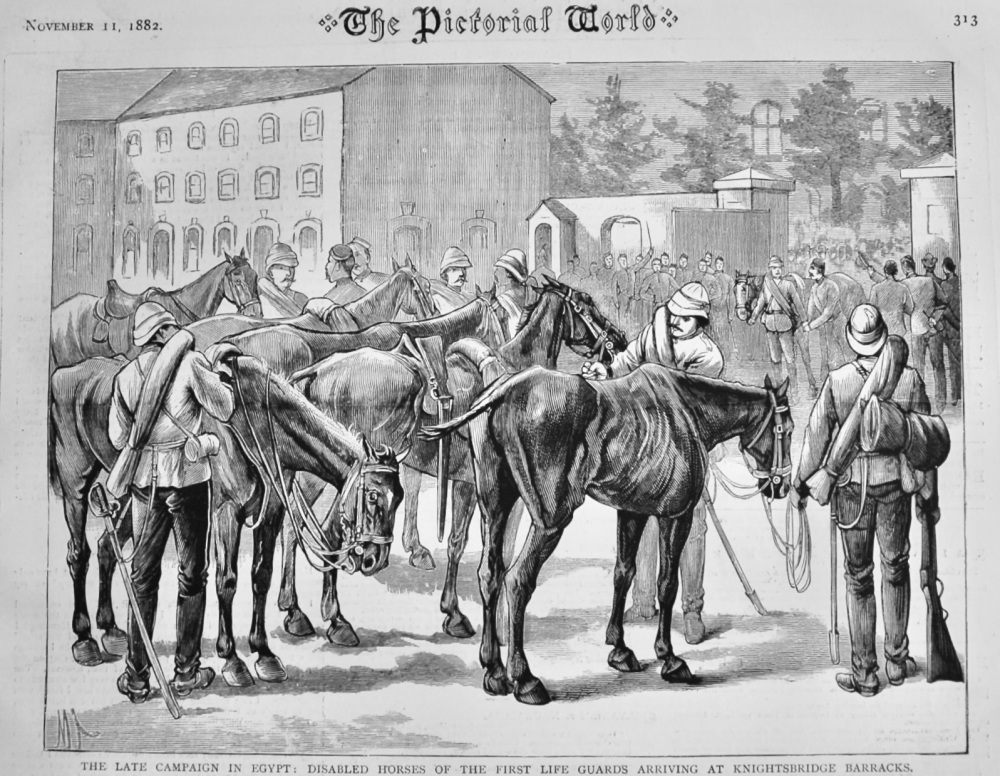 The Late Campaign in Egypt :  Disabled Horses of the First Life Guards arriving at Knightsbridge Barracks.  1882.