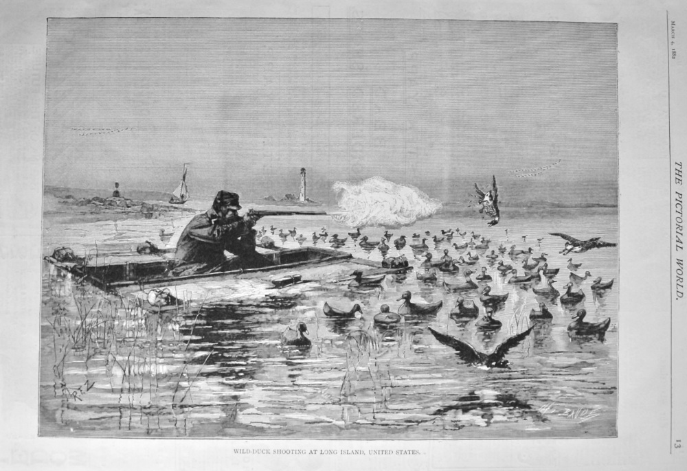 Wild-Duck Shooting at Long Island, United States.  1882.