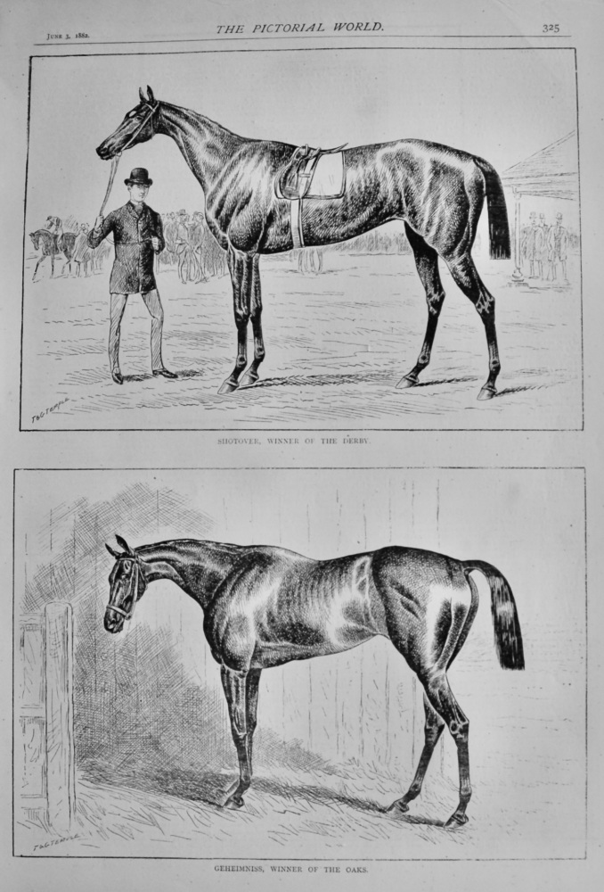 Shotover,  winner of the Derby.  &   Geheimniss, winner of the Oaks. 1882.