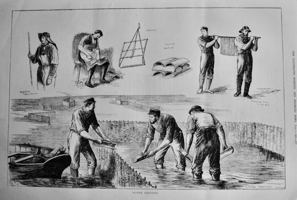 Oyster Dredging.  1881.