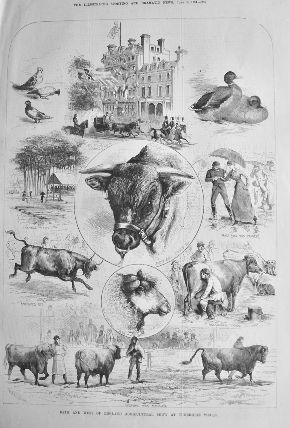 Bath and West of England Agricultural Show at Tunbridge Wells.  1881.