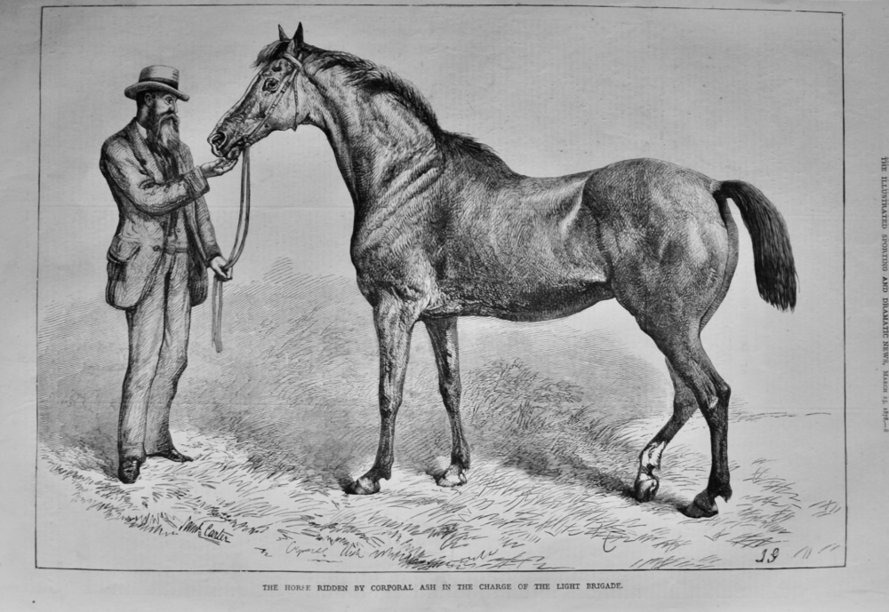 The Horse ridden by Corporal Shaw in the Charge of the Light Brigade. 1878.