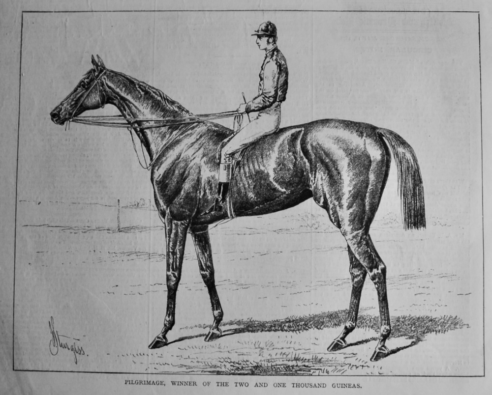 Pilgrimage, winner of the Two and One Thousand Guineas.  1878.