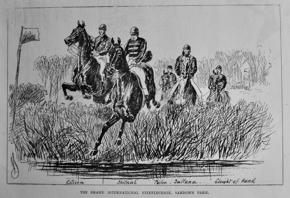 The Grand International Steeplechase, Sandown Park.  1878.