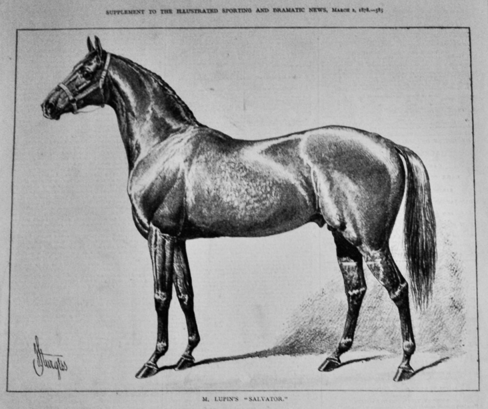 M. Lupin's  "Salvator."  (Racehorse).  1878.