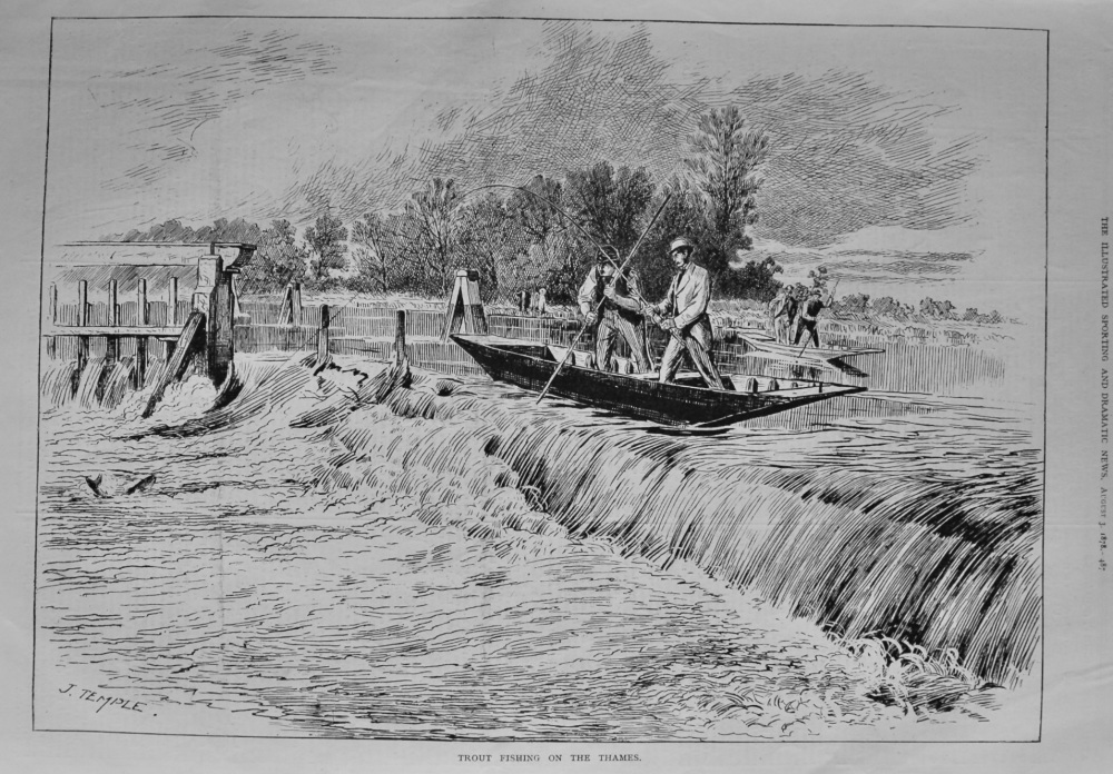 Trout Fishing on the Thames.  1878.