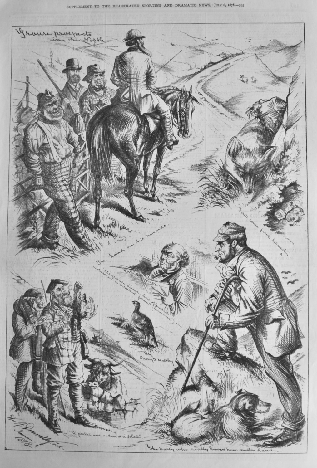Grouse Prospects in the North.  1878