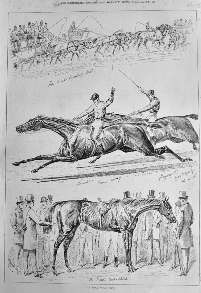 The Goodwood Cup.  1878.