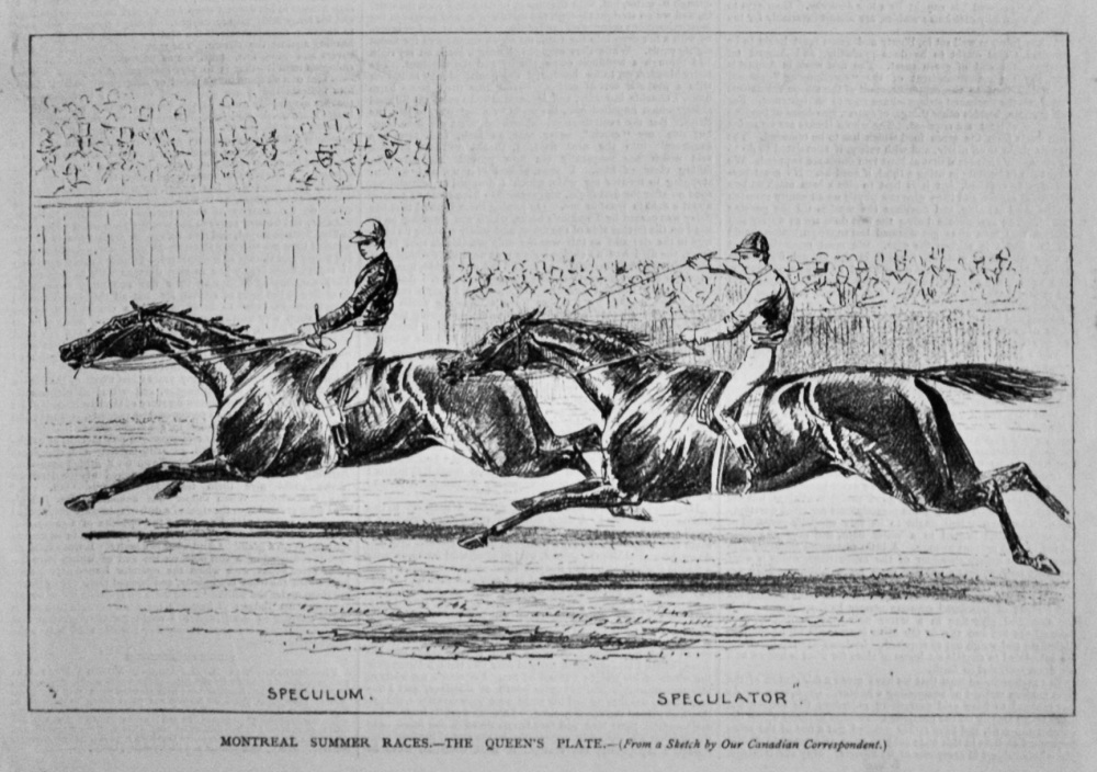 Montreal Summer Races.- The Queen's Plate.  1878