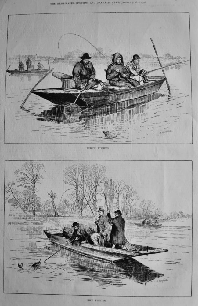 Perch Fishing &  Pike Fishing.  1878.