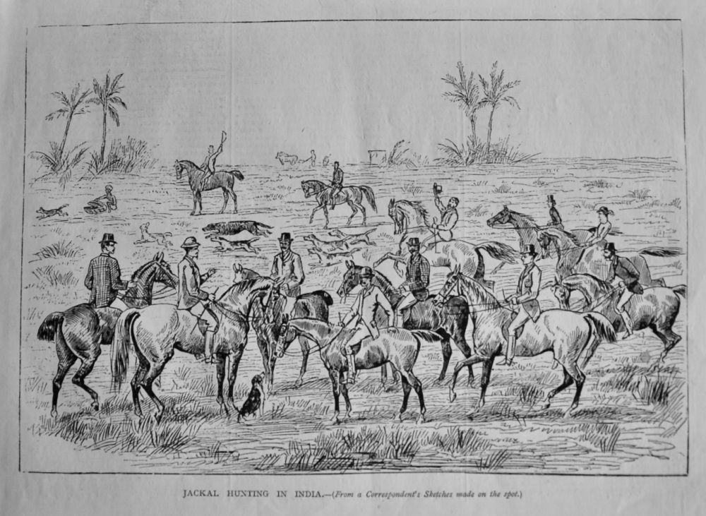Jackal Hunting in India.  1878.
