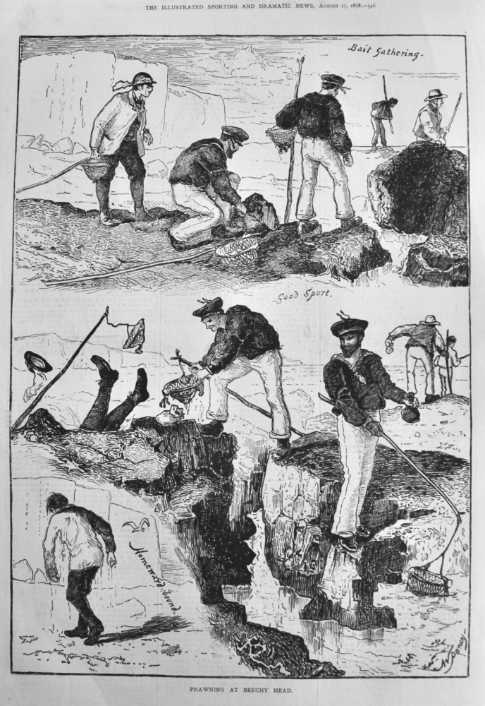 Prawning at Beechy Head.  1878.
