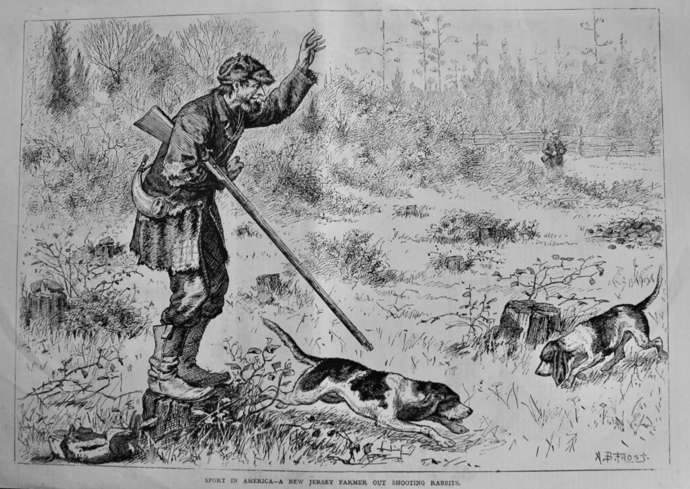 Sport in America-  A New Jersey Farmer out Shooting Rabbits.  1878.