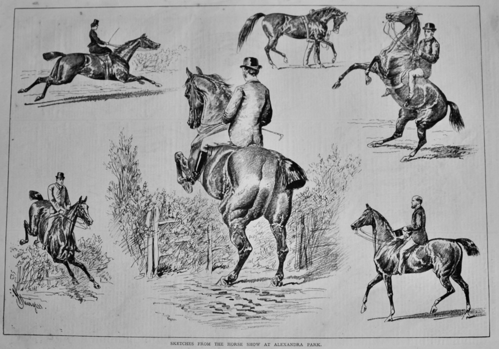Sketches from the Horse Show at Alexandra Park.  1878.