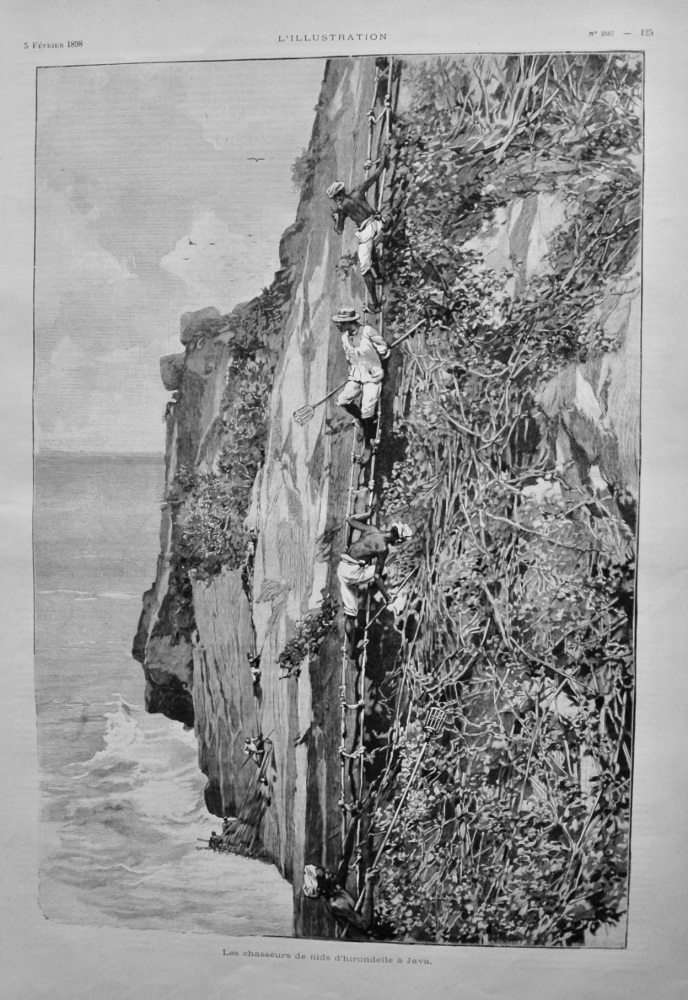Les Chasseurs de nids d'hirondelle a Java.  1898.