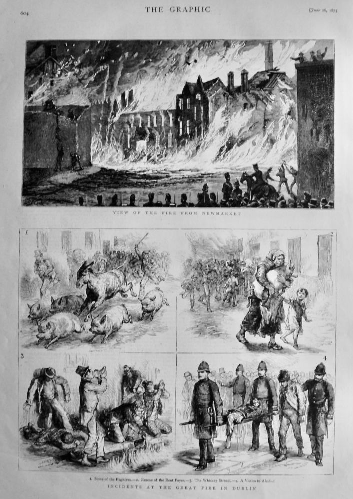 Incidents at the Great Fire in Dublin.  1875.