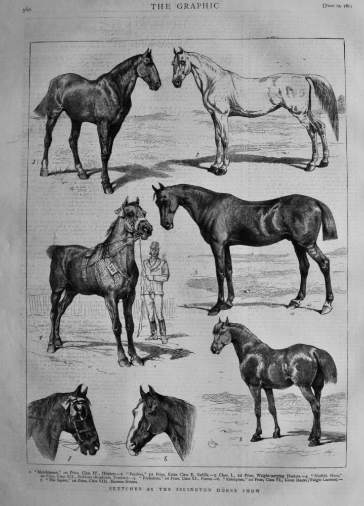 Sketches at the Islington Horse Show.  1875.