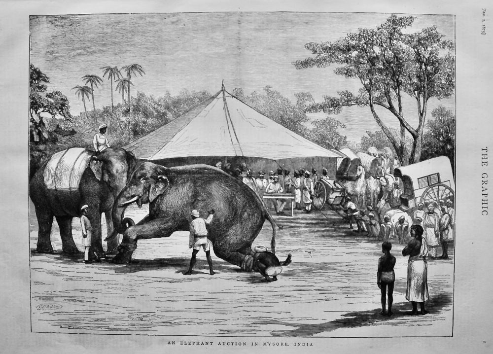 An Elephant Auction in Mysore, India.  1875.