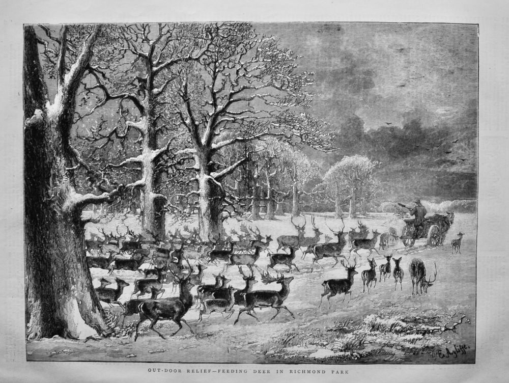 Our-Door Relief-Feeding Deer in Richmond Park.  1875.