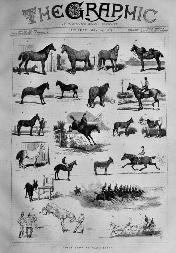 Horse Show at Manchester.  1875.