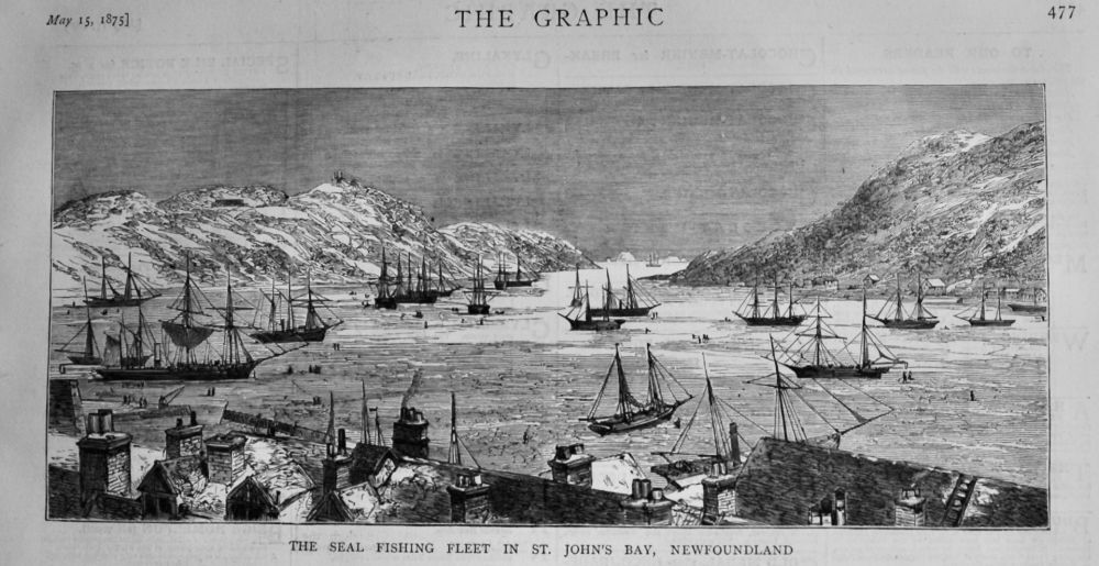 The Seal Fishing Fleet in St. John's Bay, Newfoundland.  1875.