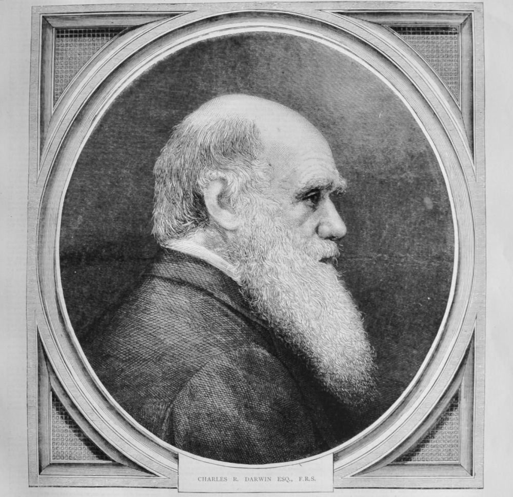 Charles R. Darwin Esq.  F.R.S.   1875.