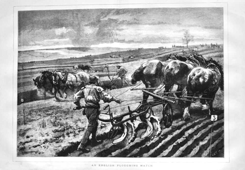 An English Ploughing Match.  1875.