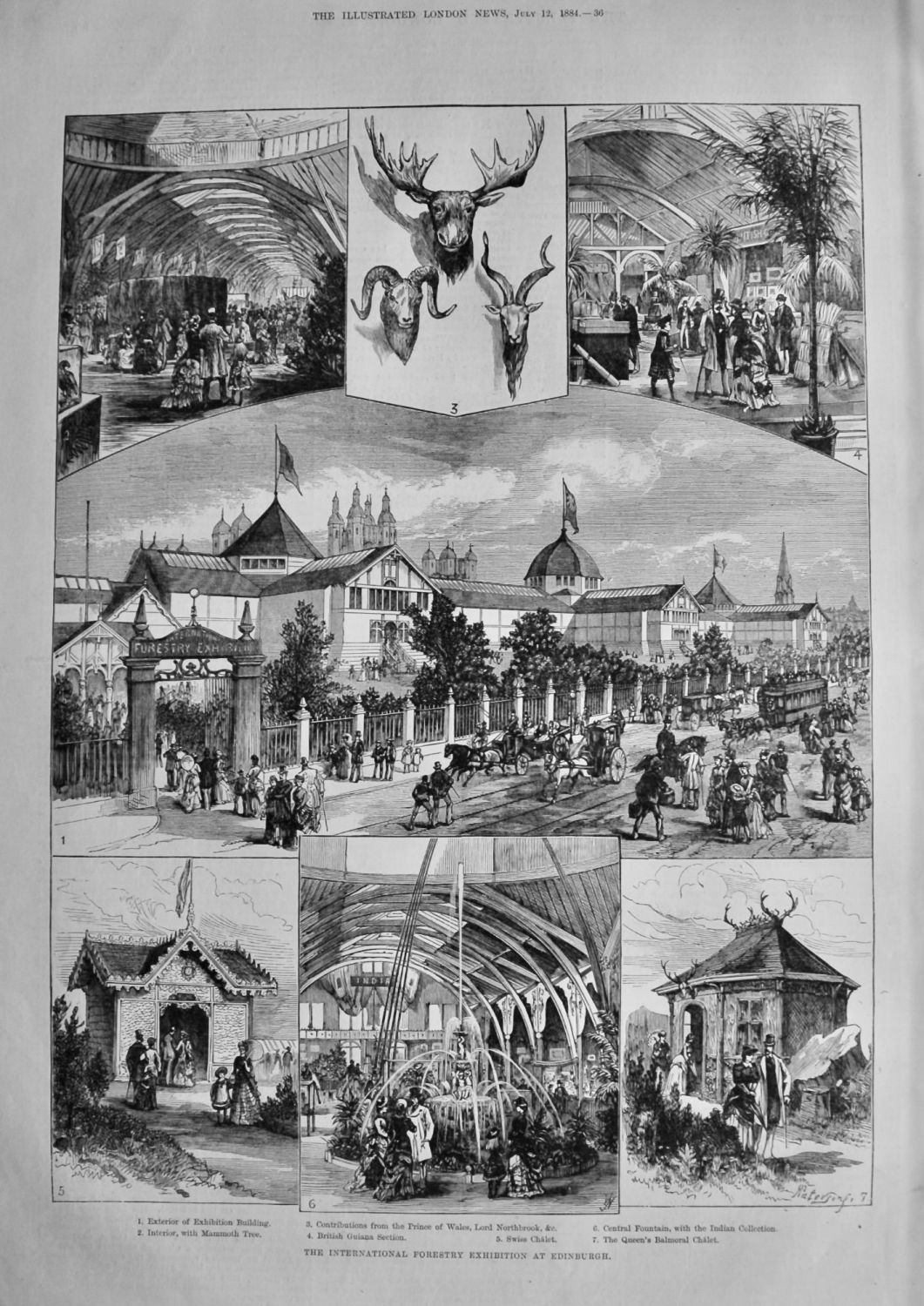 The International Forestry Exhibition at Edinburgh.  1884.