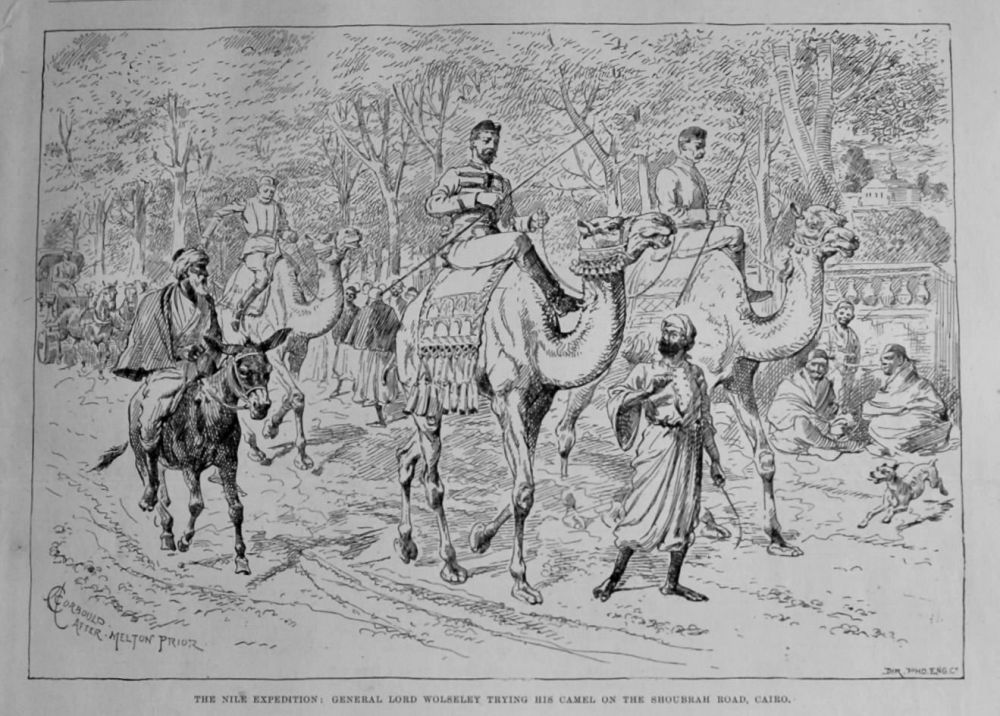 The Nile Expedition : General Lord Wolseley trying his Camel on the Shoubrah Road, Cairo.  1884.