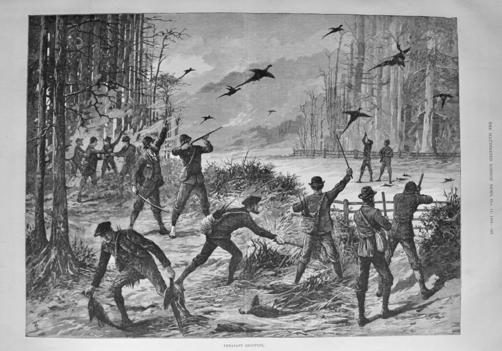 Pheasant Shooting.  1884.
