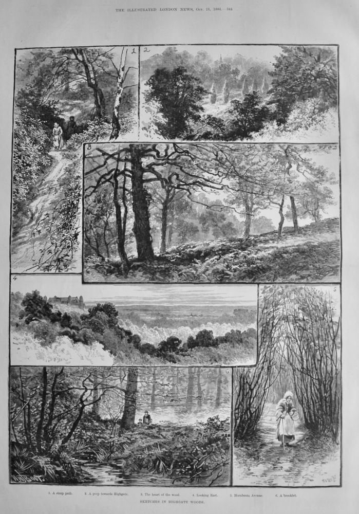 Sketches in Highgate Woods.  1884.