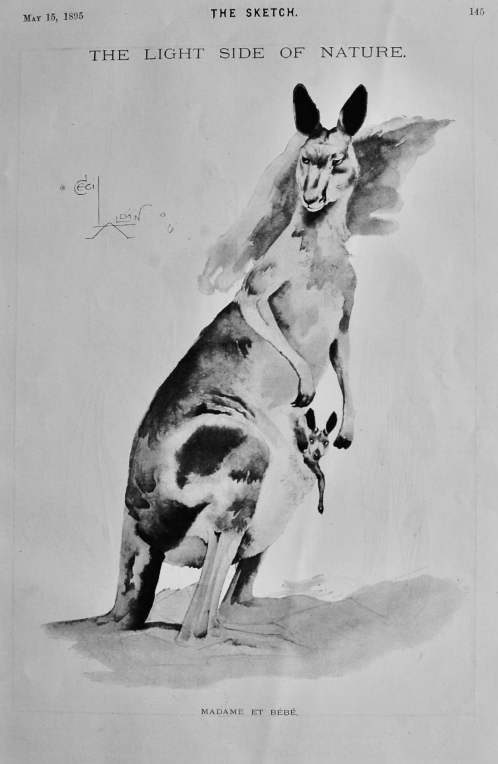 Madame et Bebe.  1895.