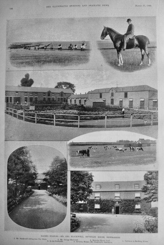 Racing Stables.- Mr. Geo. Blackwell, Beverley House, Newmarket.  1899.