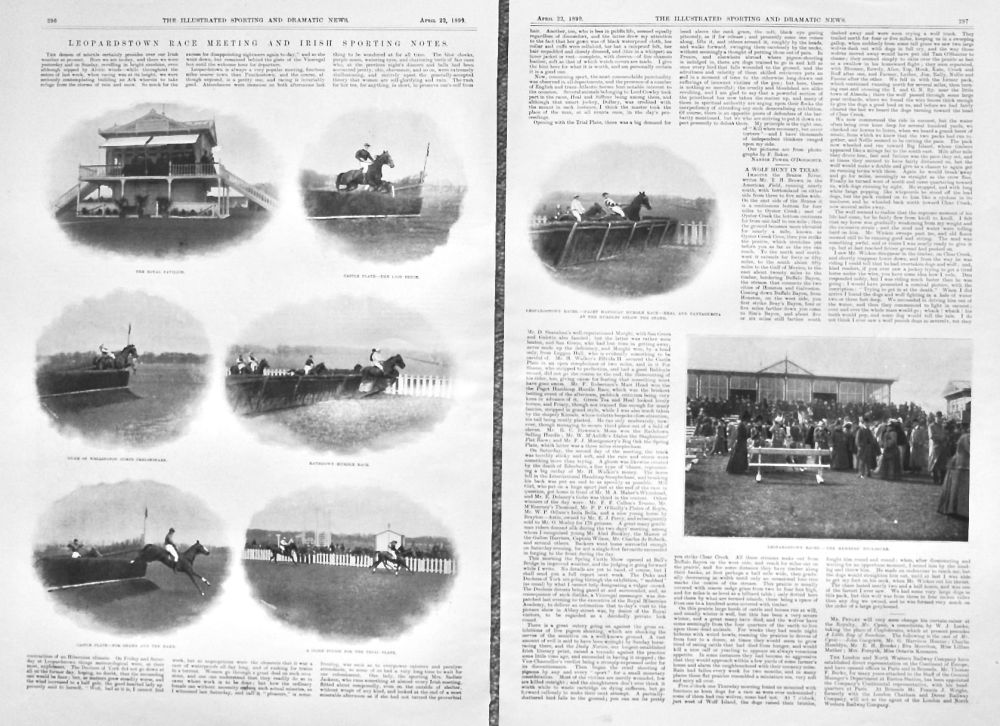Leopardstown Race Meeting and Irish Sporting notes.  1899.