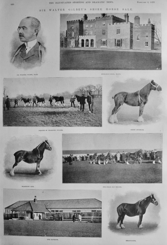 Sir Walter Gilbey's Shire Horse Sale.  1899.