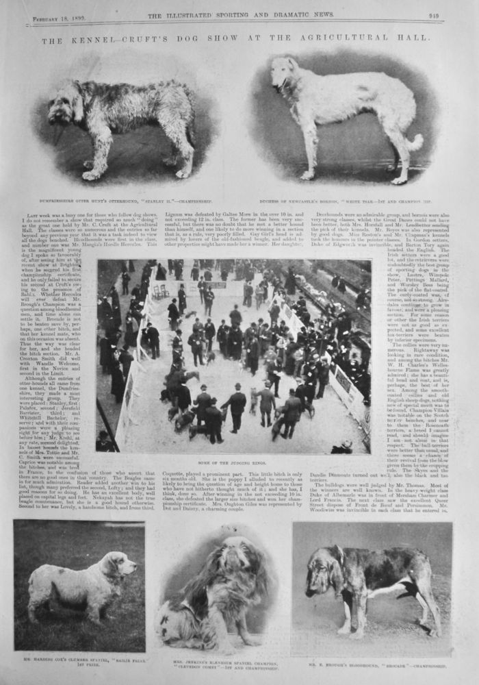 The Kennel-Cruft's Dog Show at the Agricultural Hall.  1899.